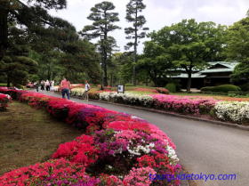 East Garden of Imperial Palace