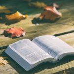 【書評0】読書感想文程度だが記録にしたいと思う