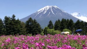 全国通訳案内士のための富士箱根ツアーお役立ちリンク