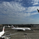 インバウンド団体の国内フライト移動について団体券や個札券の違い【全国通訳案内士の知識】