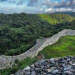 沖縄本島北部の見どころまとめ【おすすめ観光地】